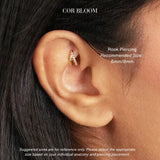 Duo Clicker in Titanio Electra Diamond