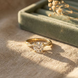Anello Gold Le Jane Senza Tempo